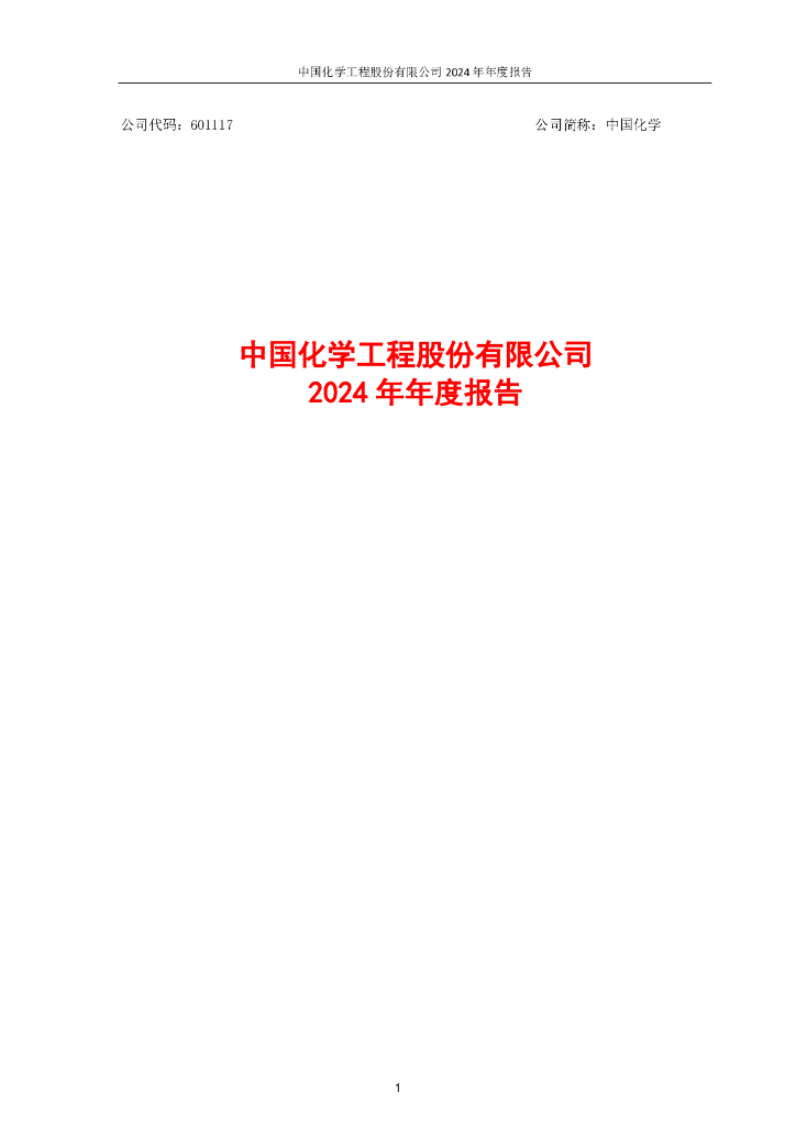601117-中国化学：中国化学2024年年度报告