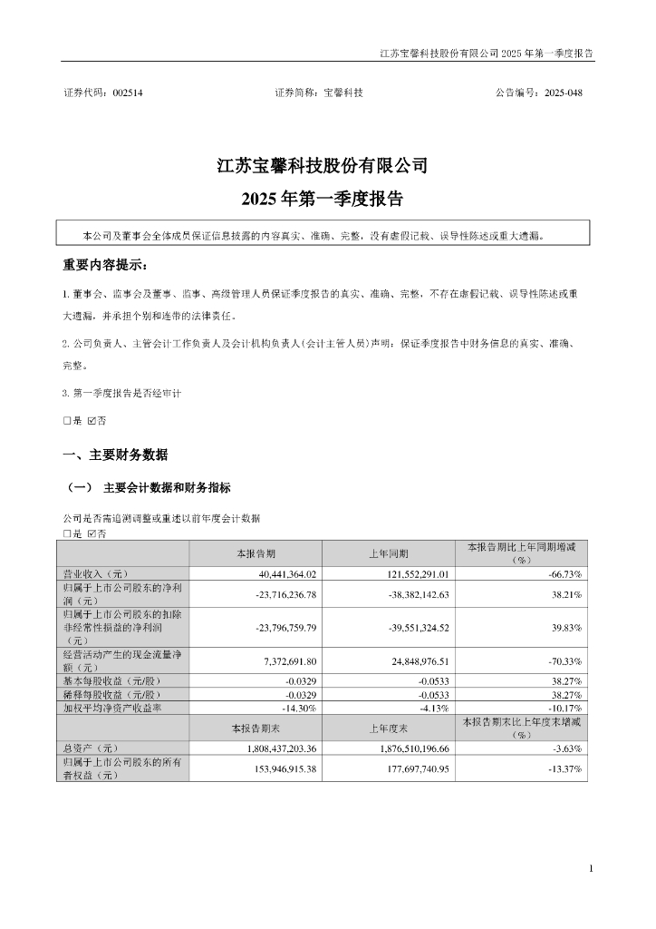 002514-宝馨科技：2025年一季度报告