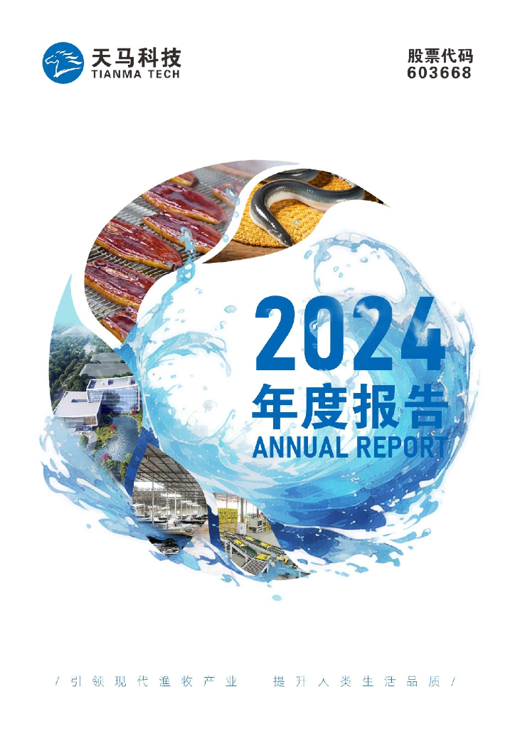 603668-天马科技：天马科技2024年年度报告全文