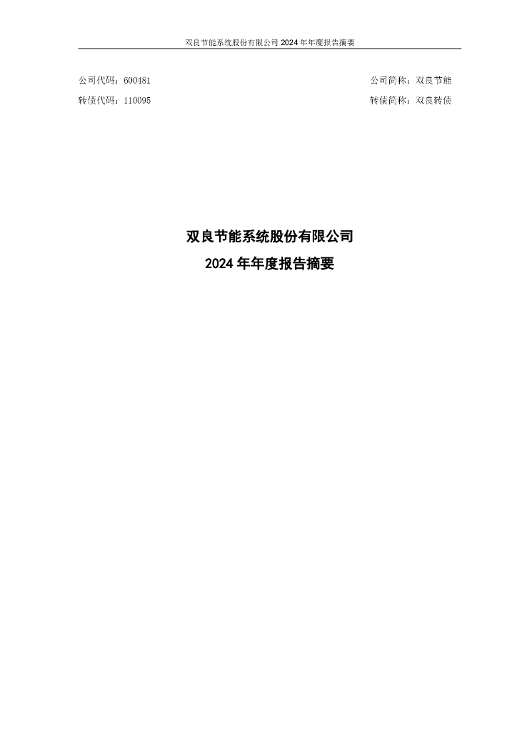 110009-双良节能：双良节能系统股份有限公司2024年年度报告摘要