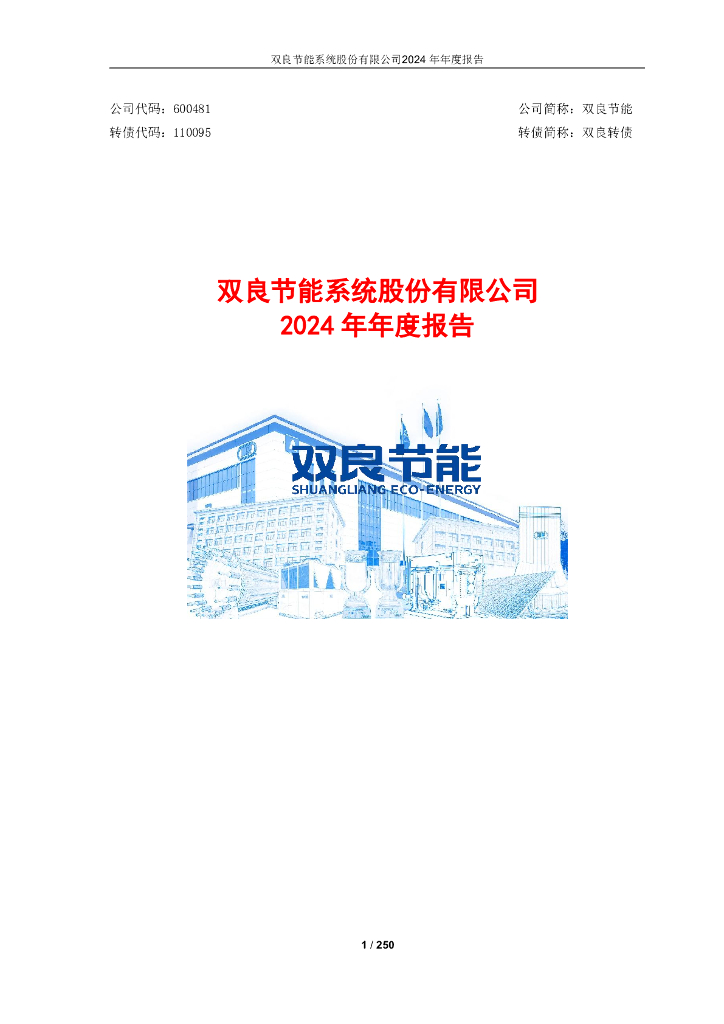 110009-双良节能：双良节能系统股份有限公司2024年年度报告