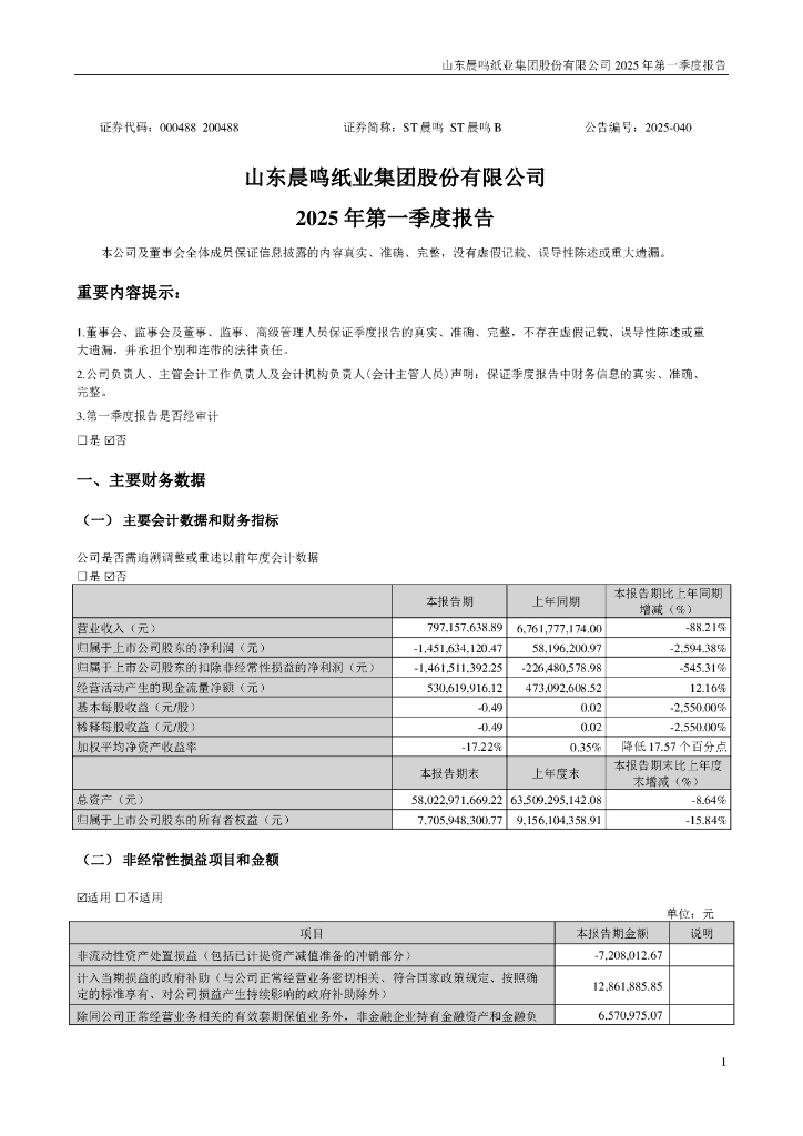 000488-ST晨鸣：2025年一季度报告