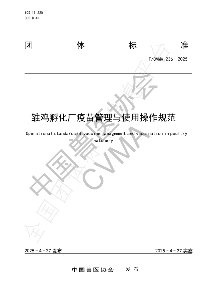T/CVMA 236-2025 雏鸡孵化厂疫苗管理与使用操作规范