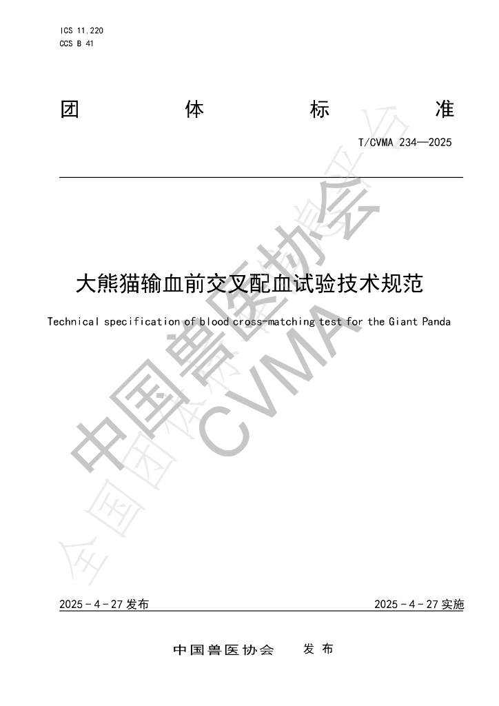 T/CVMA 234-2025 大熊猫输血前交叉配血试验技术规范