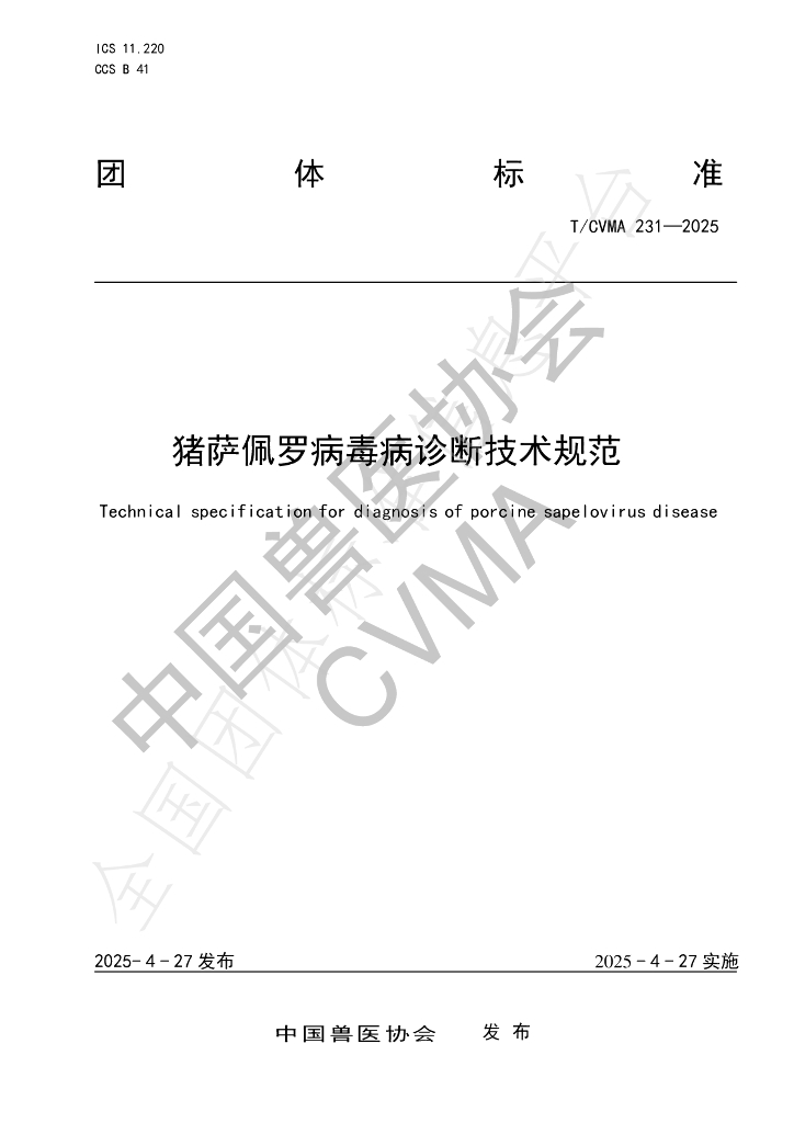 T/CVMA 231-2025 猪萨佩罗病毒病诊断技术规范
