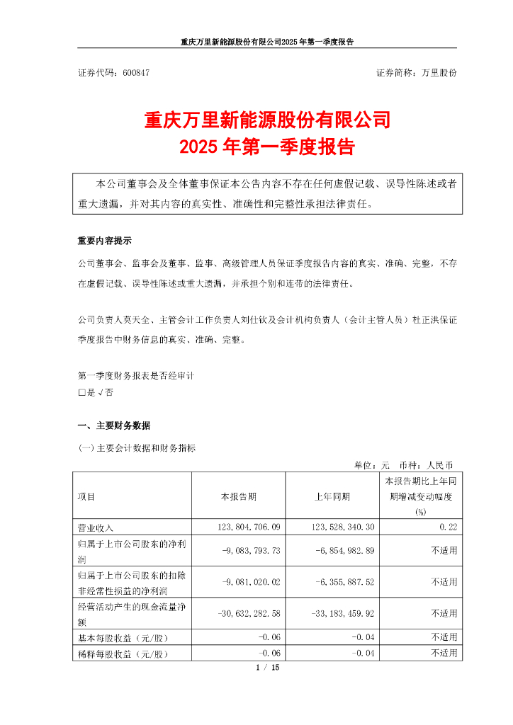 600847-万里股份：万里股份2025年一季度报告