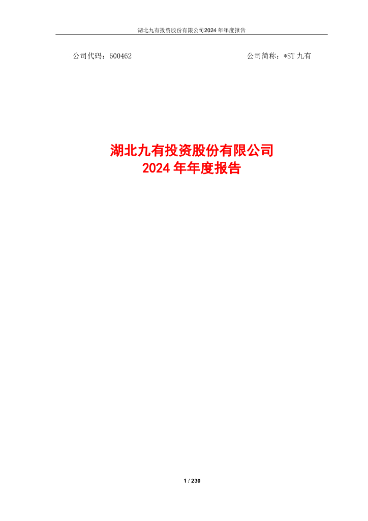 600462-*ST九有：湖北九有投资股份有限公司2024年年度报告