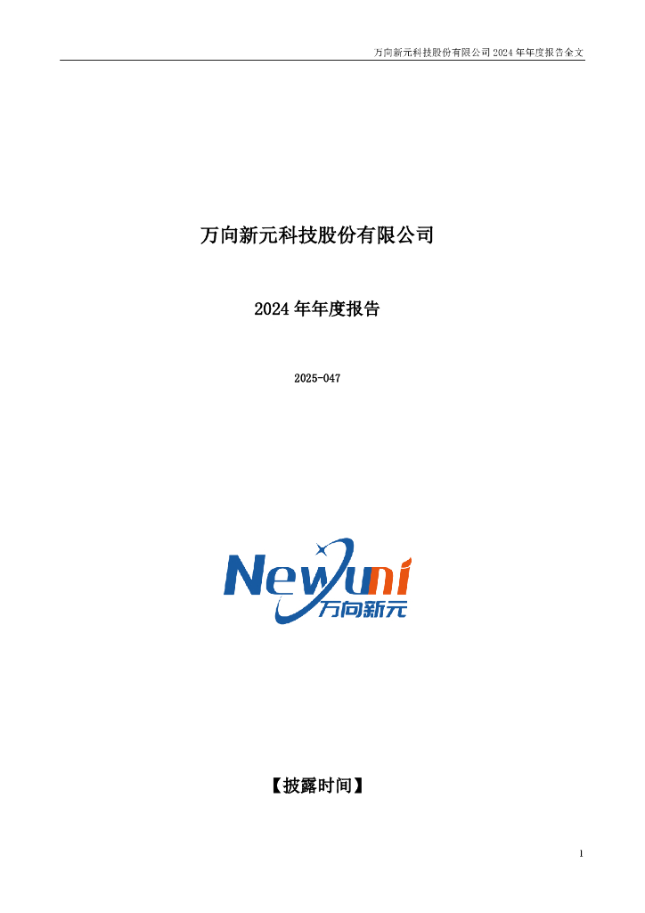 300472-新元科技：2024年年度报告