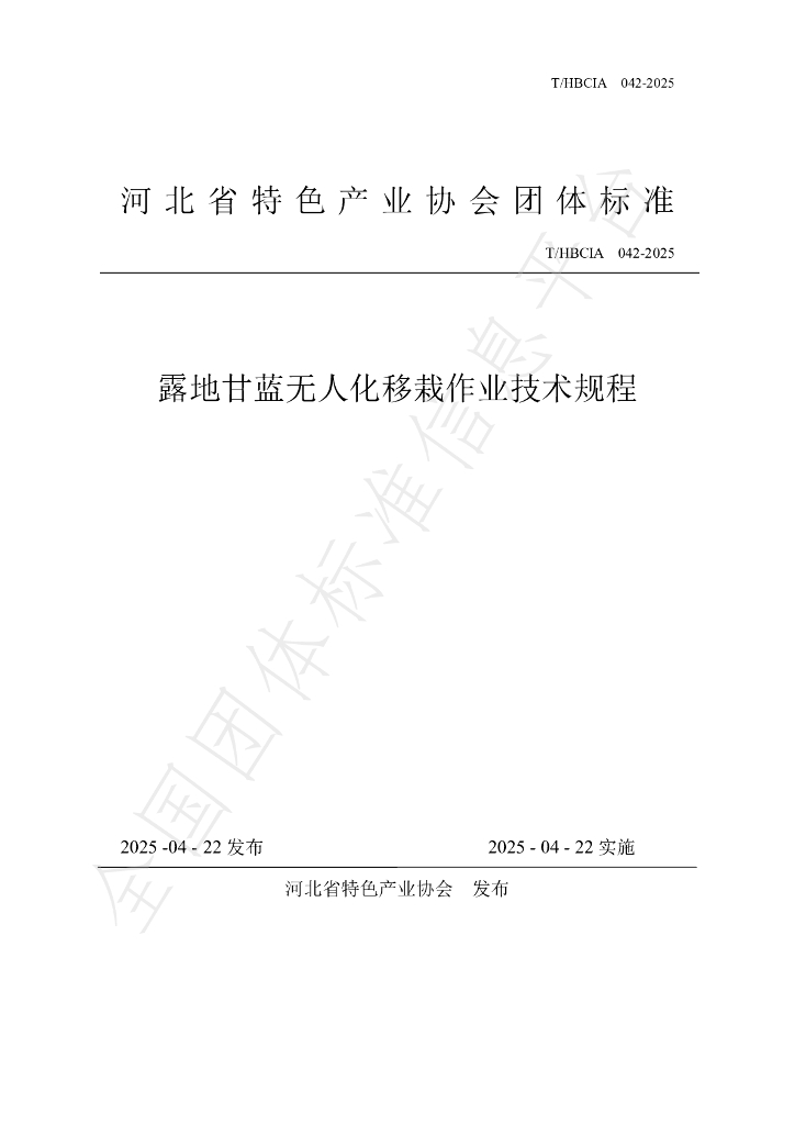 T/HBCIA 042-2025 露地甘蓝无人化移栽作业技术规程