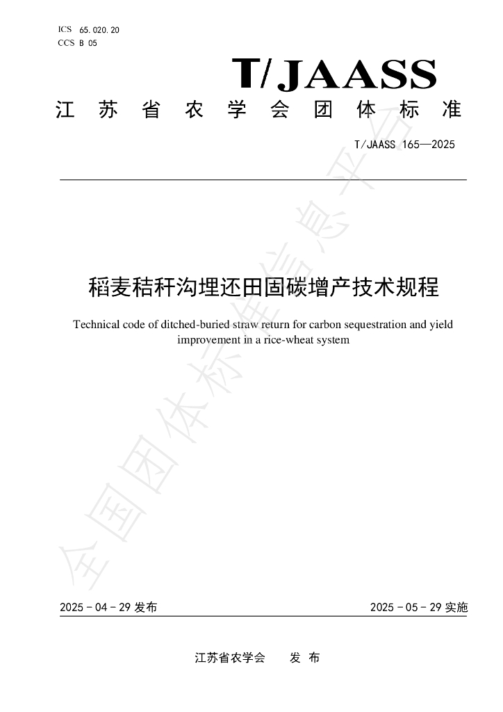 T/JAASS 165-2025 稻麦秸秆沟埋还田固碳增产技术规程