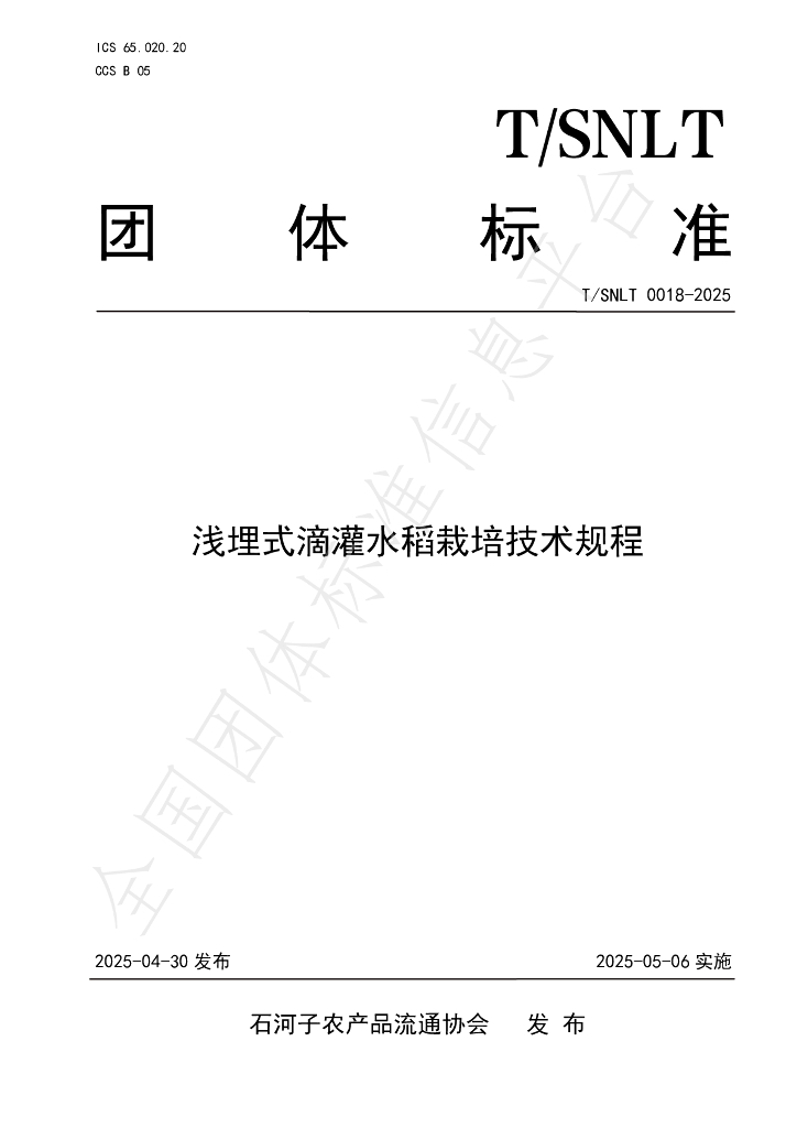 T/SNLT 0018-2025 浅埋式膜下滴灌水稻栽培技术规程