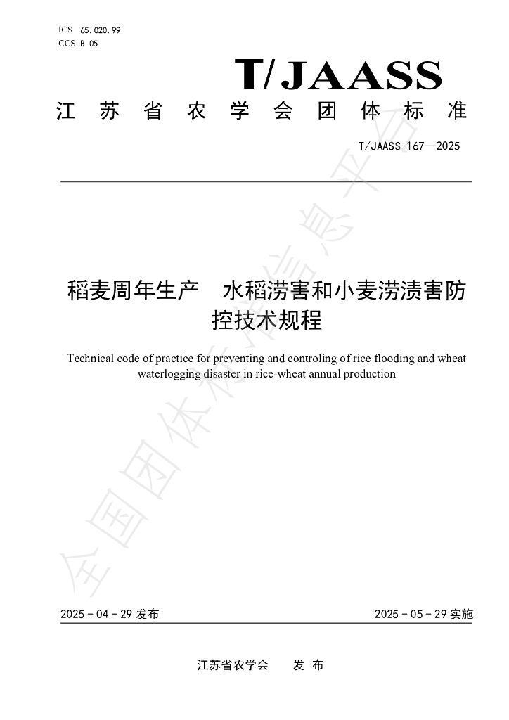 T/JAASS 167-2025 稻麦周年生产 水稻涝害和小麦涝渍害防控技术规程