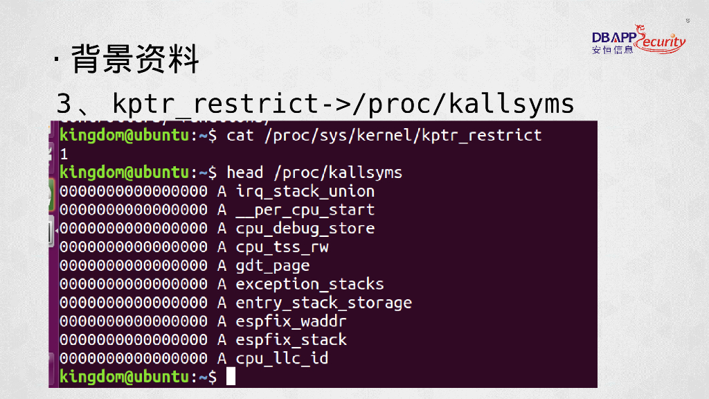安恒海特实验室：Linux内核的花花世界_第6页