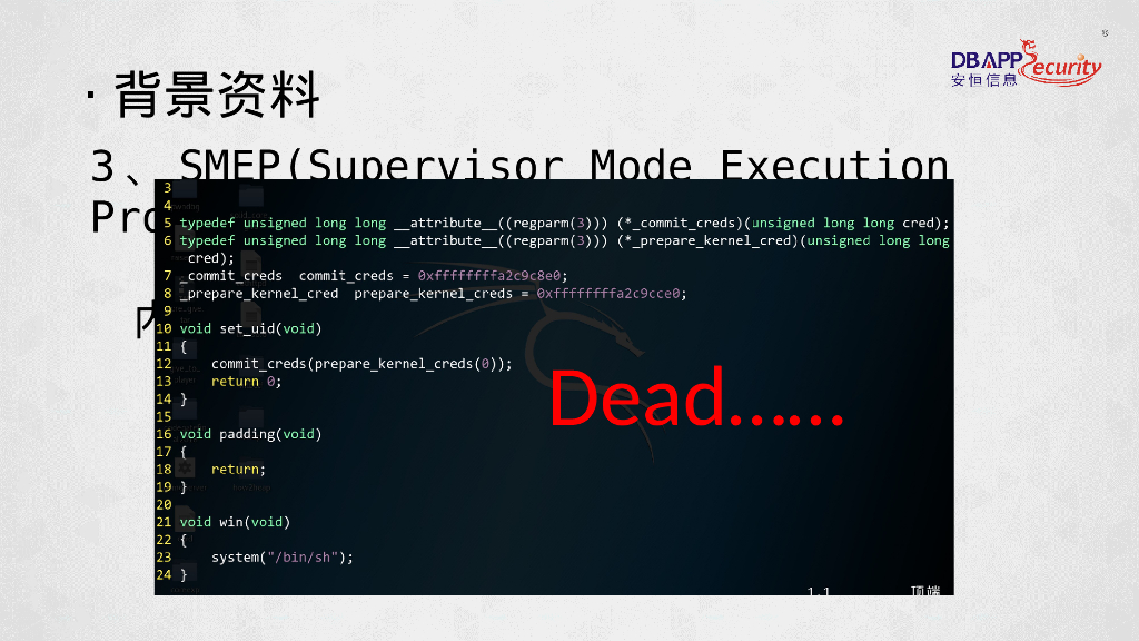 安恒海特实验室：Linux内核的花花世界_第7页