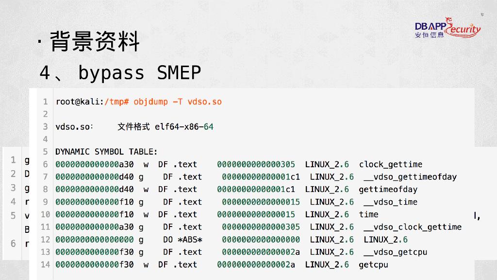 安恒海特实验室：Linux内核的花花世界_第10页