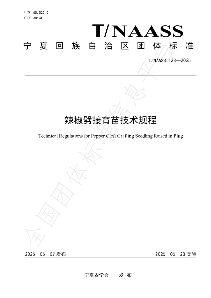 T/NAASS 123-2025 辣椒劈接育苗技术规程