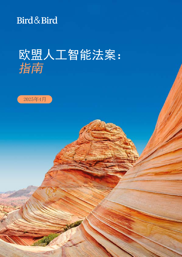 Bird&Bird：2025年欧盟人工智能法案：指南