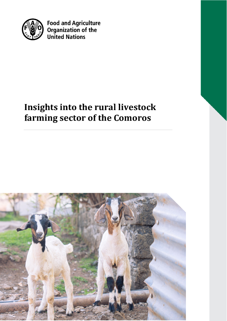 FAO联合国粮农组织：2025年洞悉科莫罗斯的农村牲畜农业领域报告（英文版）