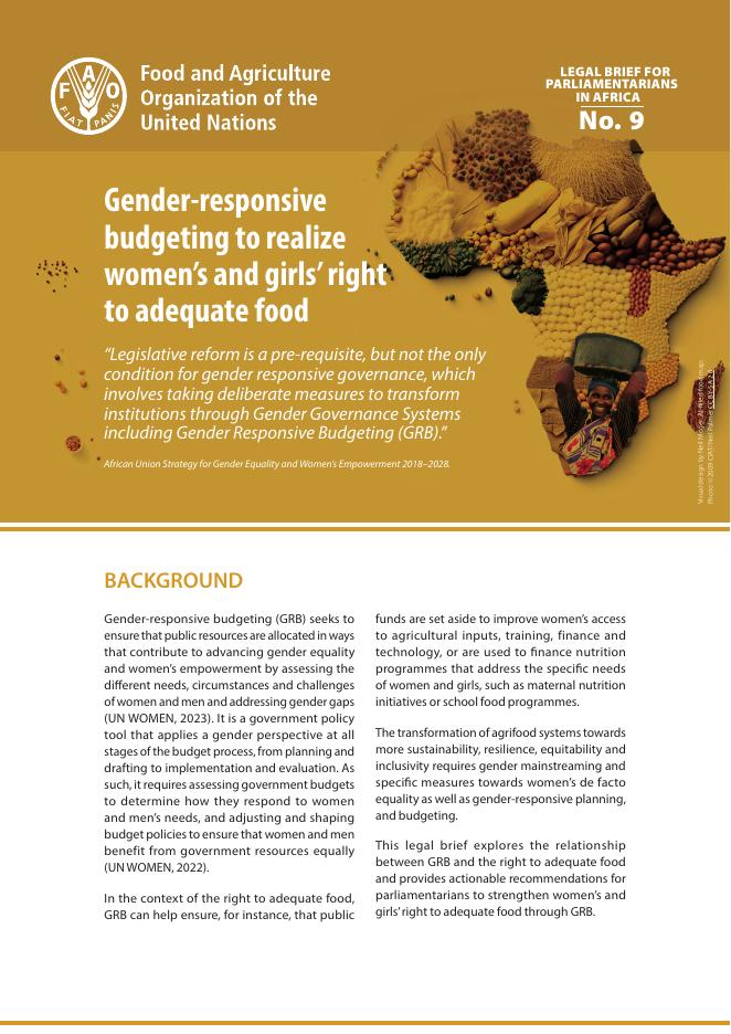 FAO联合国粮农组织：2025年性别响应性预算，以实现妇女和女孩的充足食物的权利报告（英文版）海报