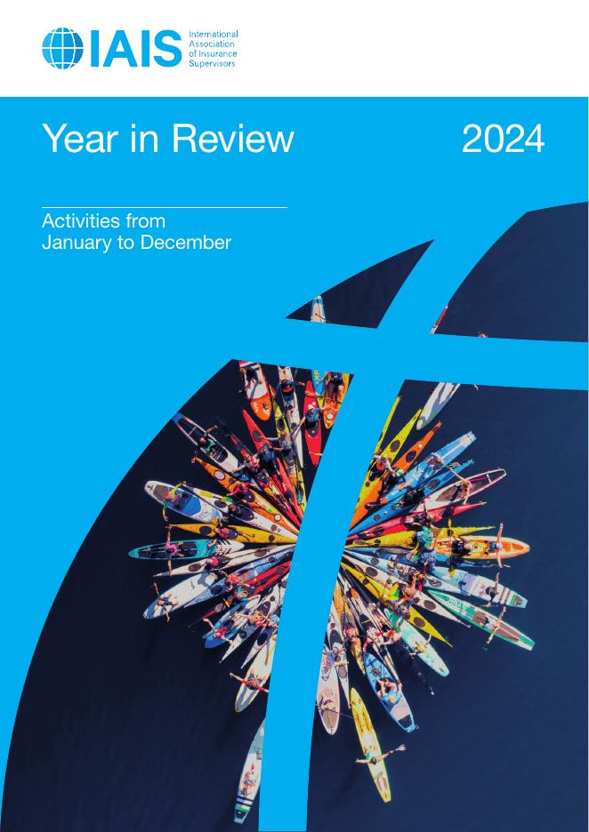 国际保险监督官协会（IAIS）：2024年年度回顾报告（英文版）
