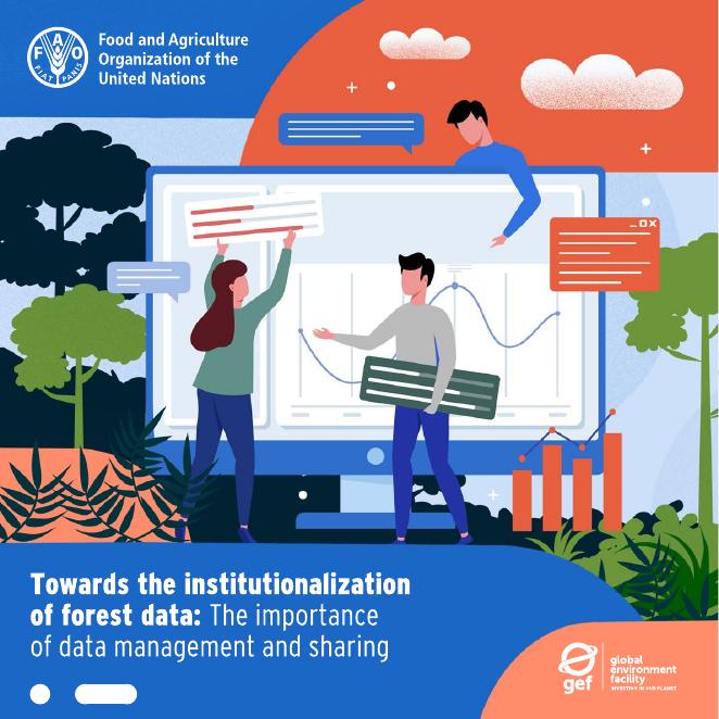FAO联合国粮农组织：2025年森林数据的制度化-数据管理和共享的重要性报告（英文版）海报
