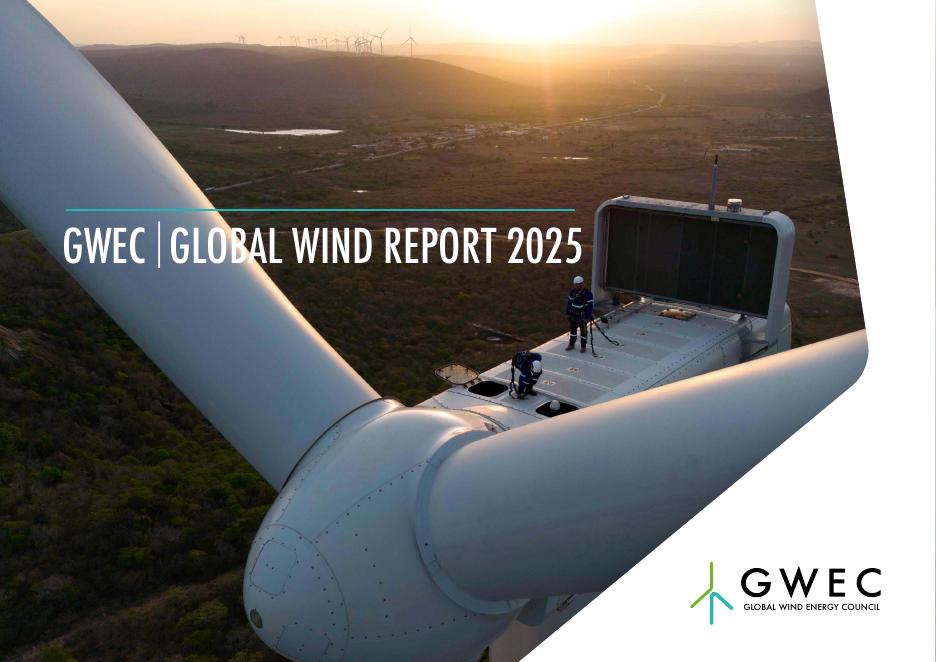 GWEC全球风能理事会：2025年全球风能报告（英文版）