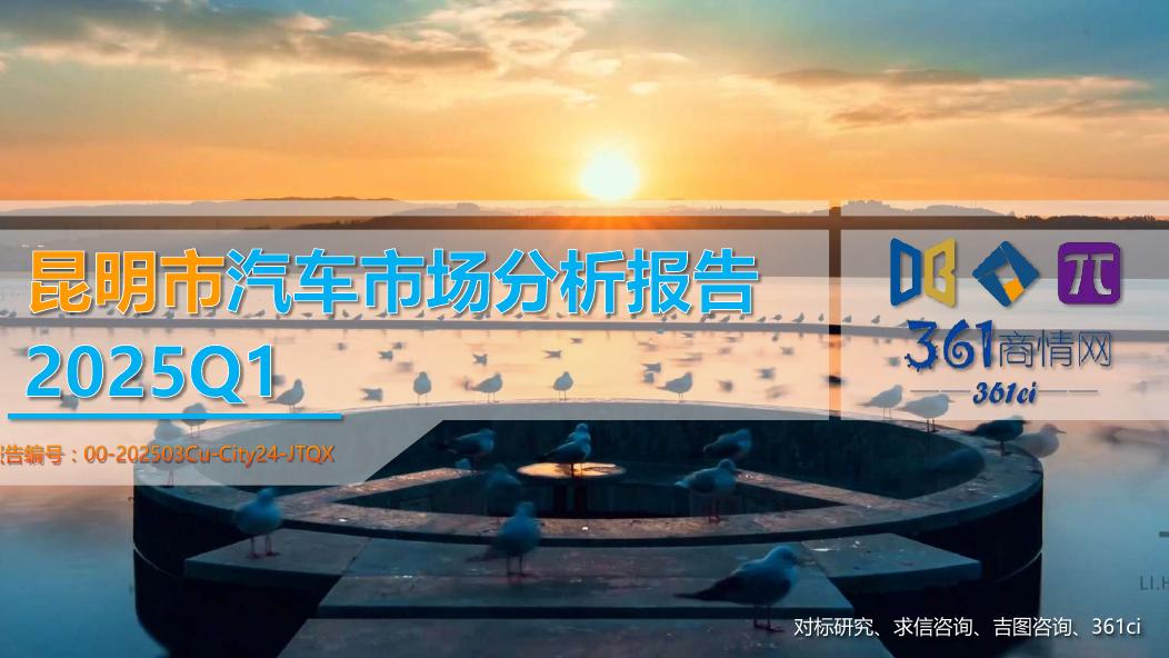 吉图咨询：2025年一季度昆明市汽车市场分析报告