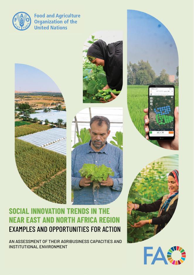 FAO联合国粮农组织：2025年近东和北非地区的社会创新趋势报告：示例和行动机会（英文版）海报