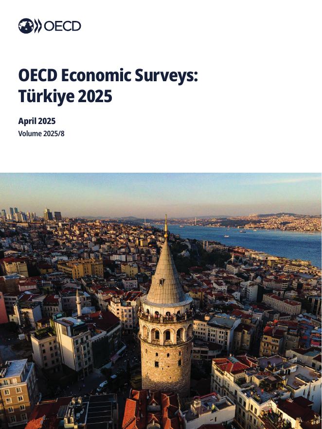 OECD经合组织：2025年土耳其经济调研报告（英文版）海报