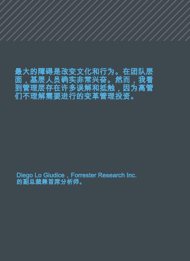 Copyright：2025年拥抱人工智能时代现代软件开发实践报告_第9页