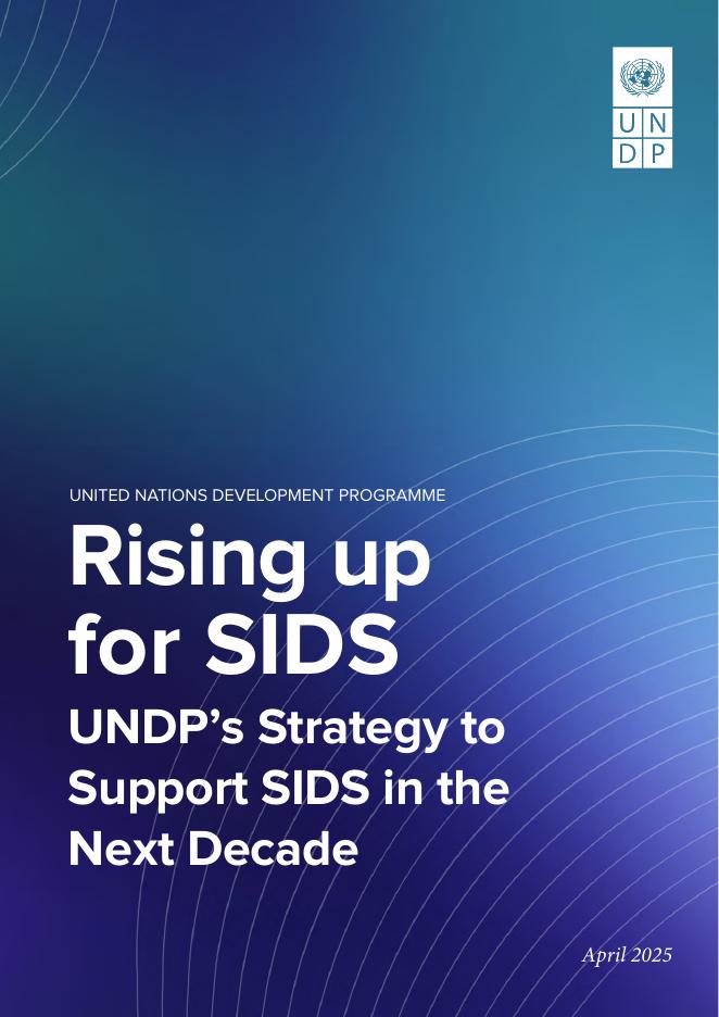 联合国开发计划署UNDP：为小岛屿发展中国家挺身而出：开发署在未来十年支持小岛屿发展中国家的战略报告（英文版）