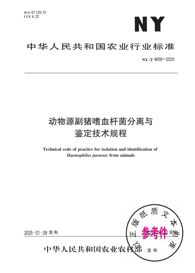 NY/T 4658-2025 动物源副猪嗜血杆菌分离与鉴定技术规程