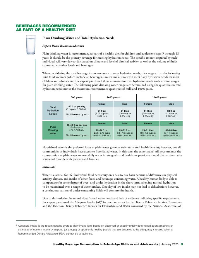 HER：2025年学龄儿童和青少年的健康饮料消费：主要国家健康与营养组织的建议报告（英文版）_第6页