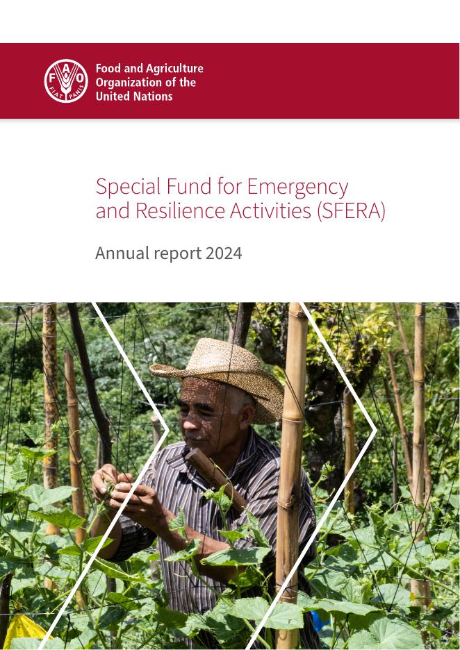 FAO联合国粮农组织：2024年紧急和弹性活动特别基金（SFERA）年度报告（英文版）