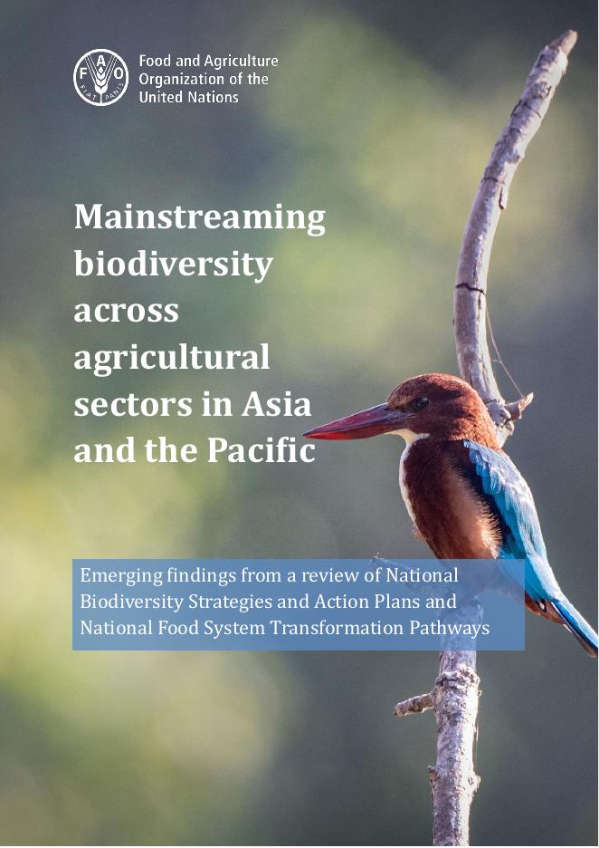 FAO联合国粮农组织：2025年在亚洲和太平洋地区跨农业领域的生物多样性主流化报告（英文版）