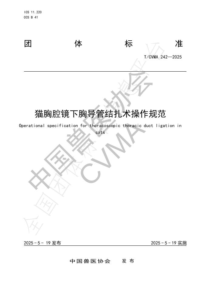 T/CVMA 242-2025 猫胸腔镜下胸导管结扎术操作规范
