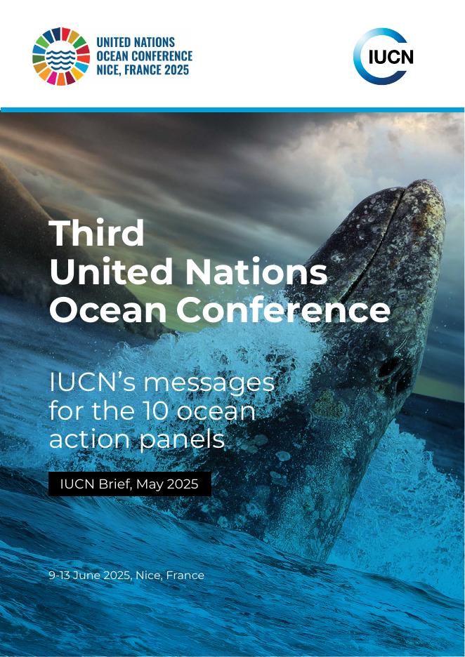 世界自然保护联盟IUCN：2025年第三届联合国海洋会-IUCN对10个海洋行动小组的建议报告（英文版）
