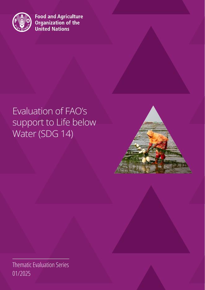 FAO联合国粮农组织：2025年评估粮农组织对水下生命的支持（可持续发展目标14）报告（英文版）