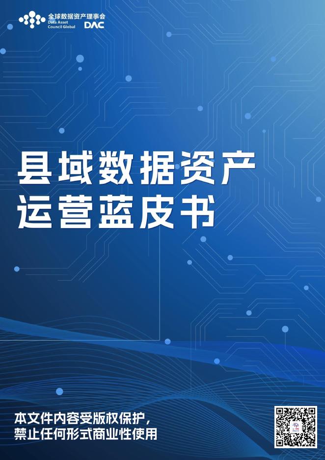全球数据资产理事会：2025年县域数据资产运营蓝皮书海报