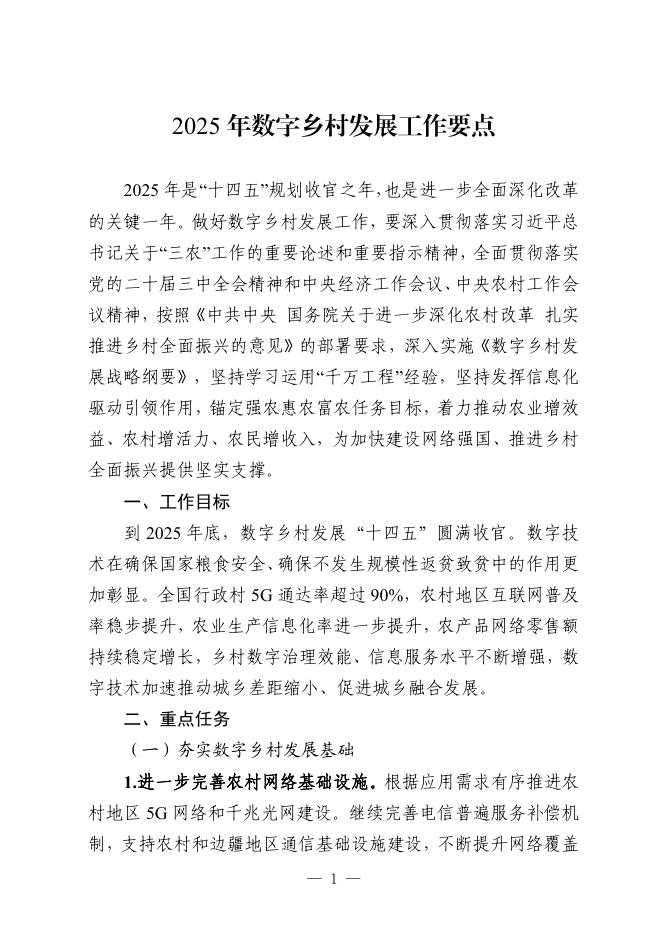 2025年数字乡村发展工作要点