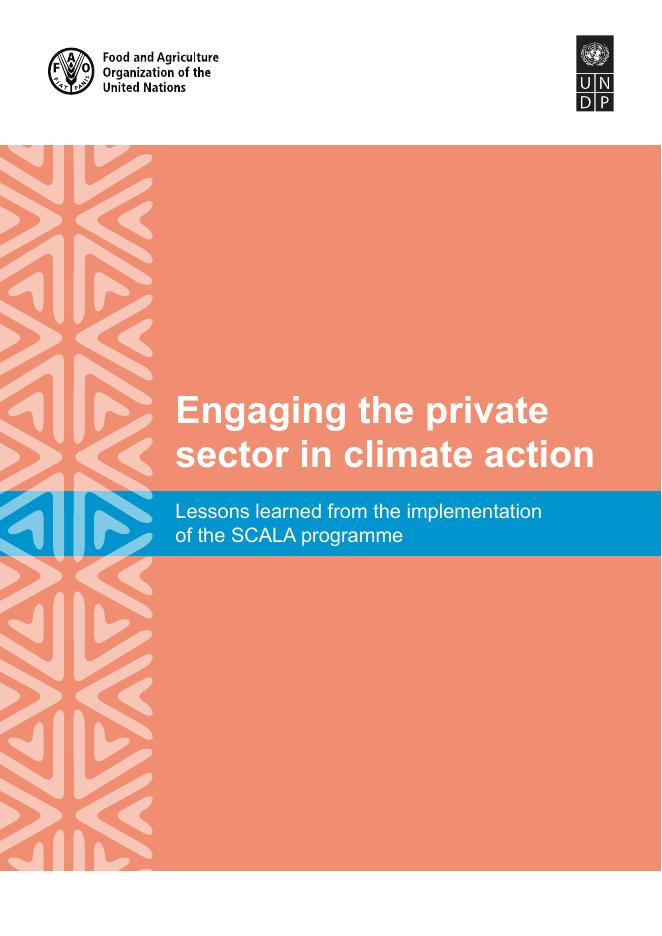 联合国开发计划署UNDP：2025年让私营部门参与气候行动：从实施SCALA方案中吸取的经验教训报告（英文版）