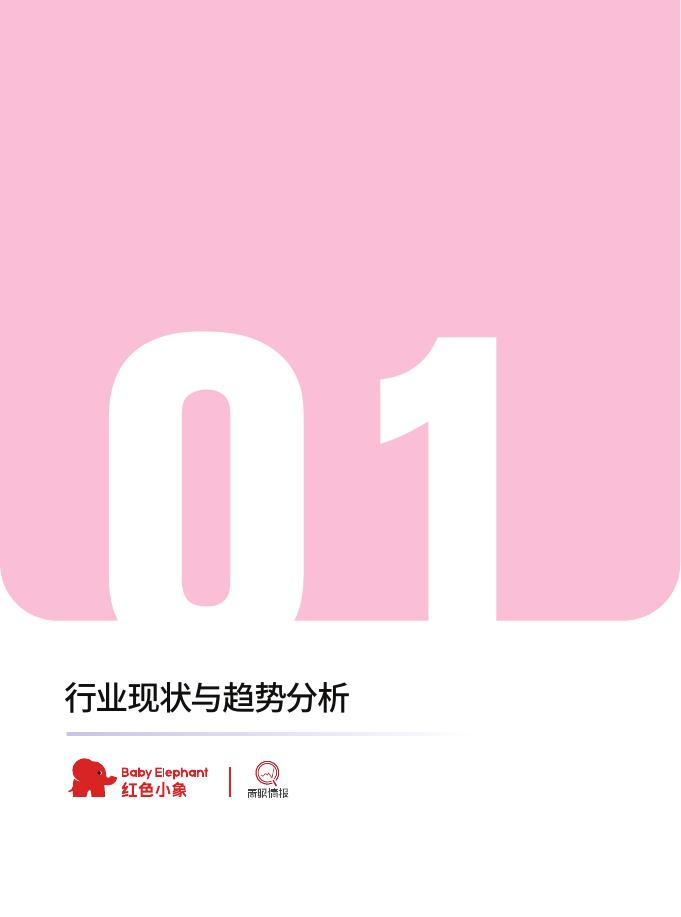 红色小象&青眼情报：2025年儿童彩妆安全与发展白皮书_第6页