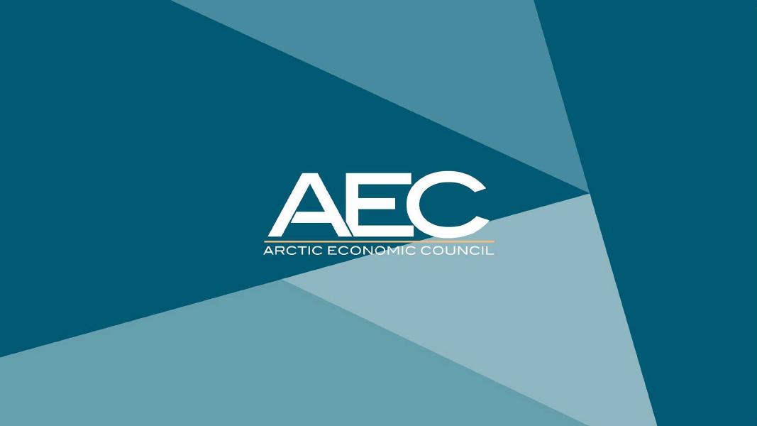 北极经济理事会（AEC）：2024年北极采矿业报告（英文版）