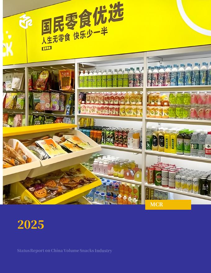 嘉世咨询：2025年中国量贩零食行业现状报告海报