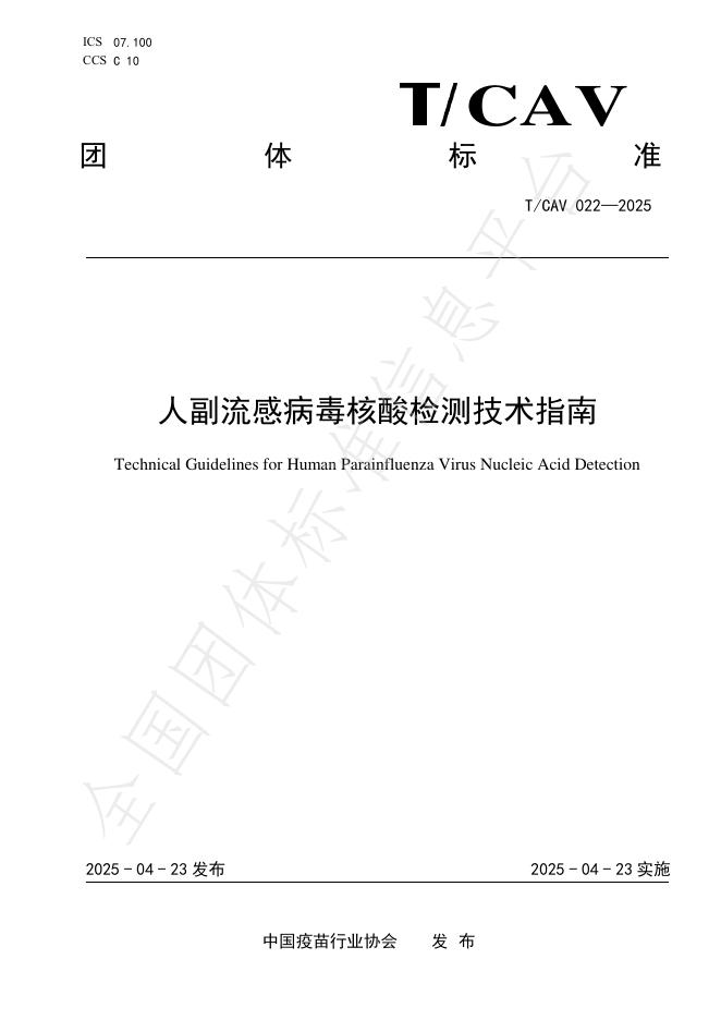 T/CAV 022-2025 人副流感病毒核酸检测技术指南