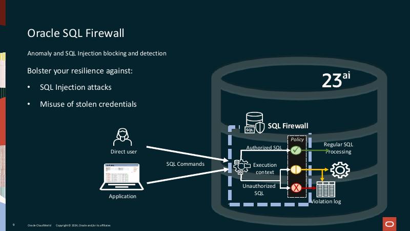 ORACLE：23 AI安全特性前五名（英文版）_第9页