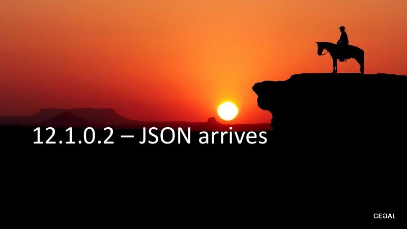 CEGAL：JSON和关系数据的婚礼邀请（英文版）_第7页