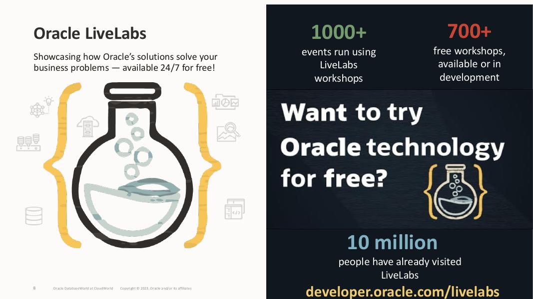 ORACLE：实践操作：Oracle Exadata数据库服务在Exascale基础设施上（英文版）_第8页