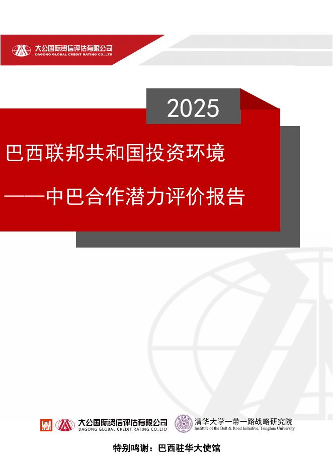 大公国际&清华大学：2025年巴西联邦共和国投资环境——中巴合作潜力评价报告