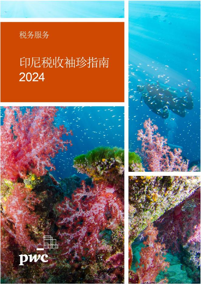 普华永道：2024年印尼税收袖珍指南